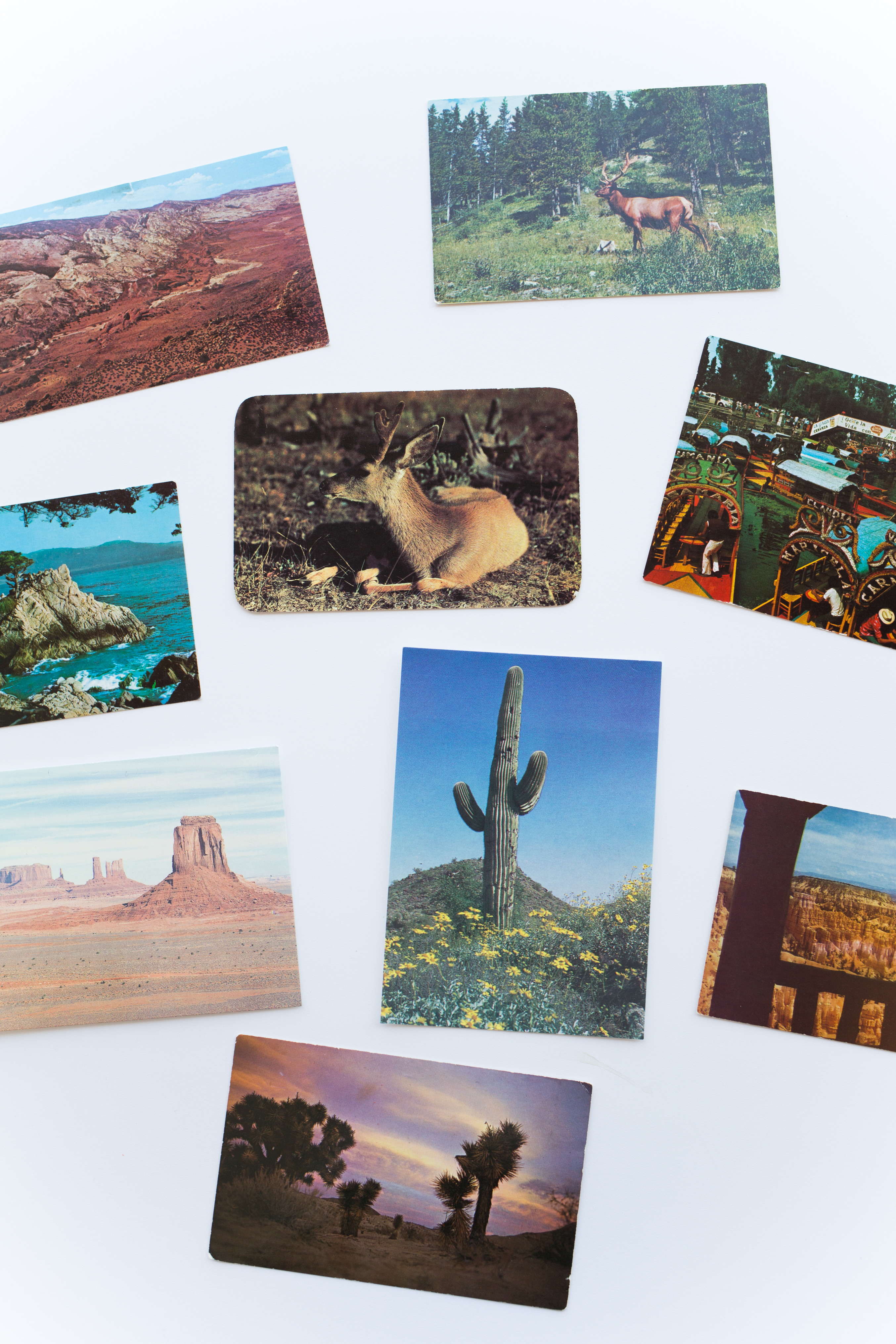 Sarah from Ludlow Kingsley shares desert postcards and answers a question about LA
